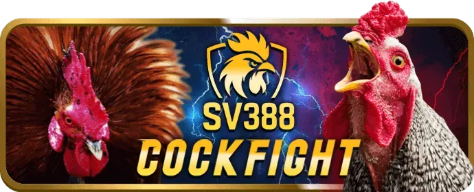 Hỗ trợ trực tuyến e28bet